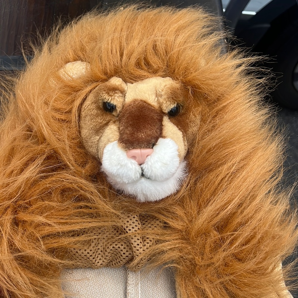 Kids costume lion mane size 2-3 years old full body zip up Halloween fun dress